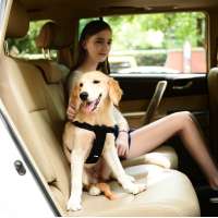 Popular Pet Harness Nylon Dog Car Harness Wholesale Dog Harness