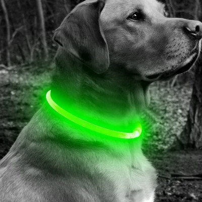 USB Rechargeable LED Dog Collar Custom TPU Light Up Safety Pet Collar Water Resistant Dog Collars Manufacturers for All Size Dog