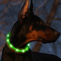 Wholesale OEM Personalized Large Pet Collars in Bulk Led Glow Custom Rubber Fashion Dog Collar