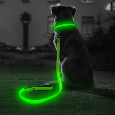 Custom Reflective Nylon Rope Leash with Spring Hook Led Flashlight Pet Collar Dog Leash